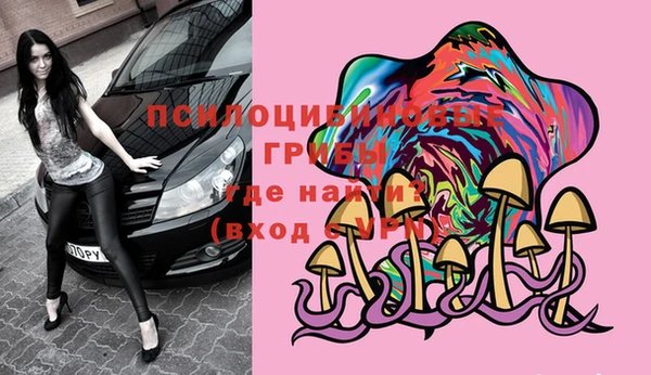 ешки Касимов