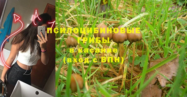 экстази Карпинск