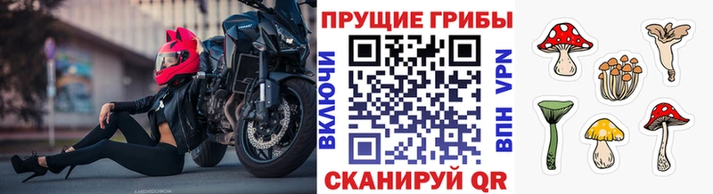 Псилоцибиновые грибы MAGIC MUSHROOMS  Купить закладки  Ивдель 